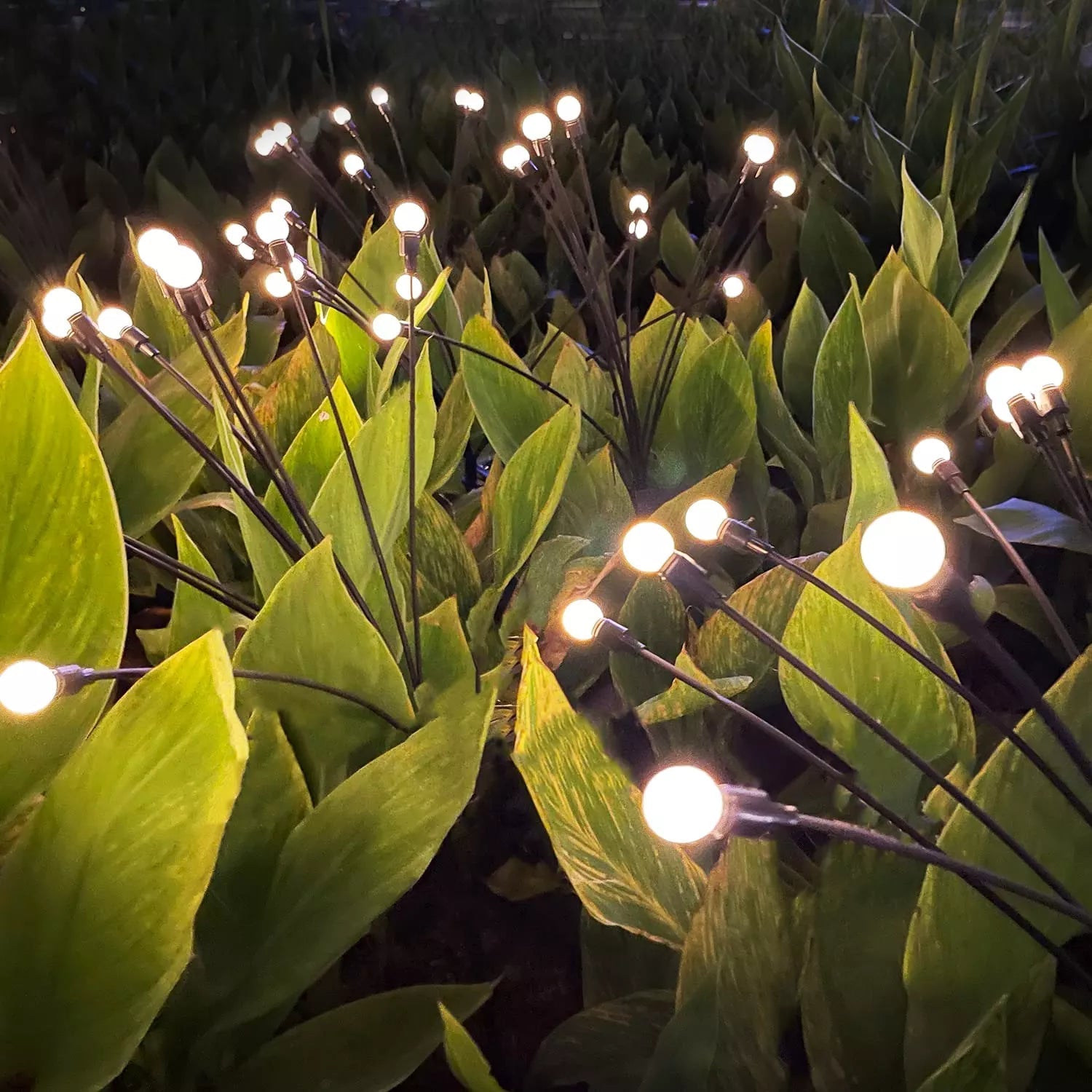 Zonne-energie Vuurvlieg Tuinverlichting - 10 LED Lampjes