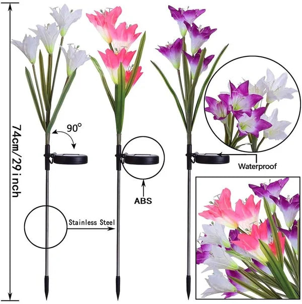 Zonne-lelie Tuin Steeklichten