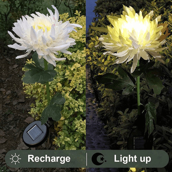 Chrysant tuinpaal LED verlichting op zonne-energie