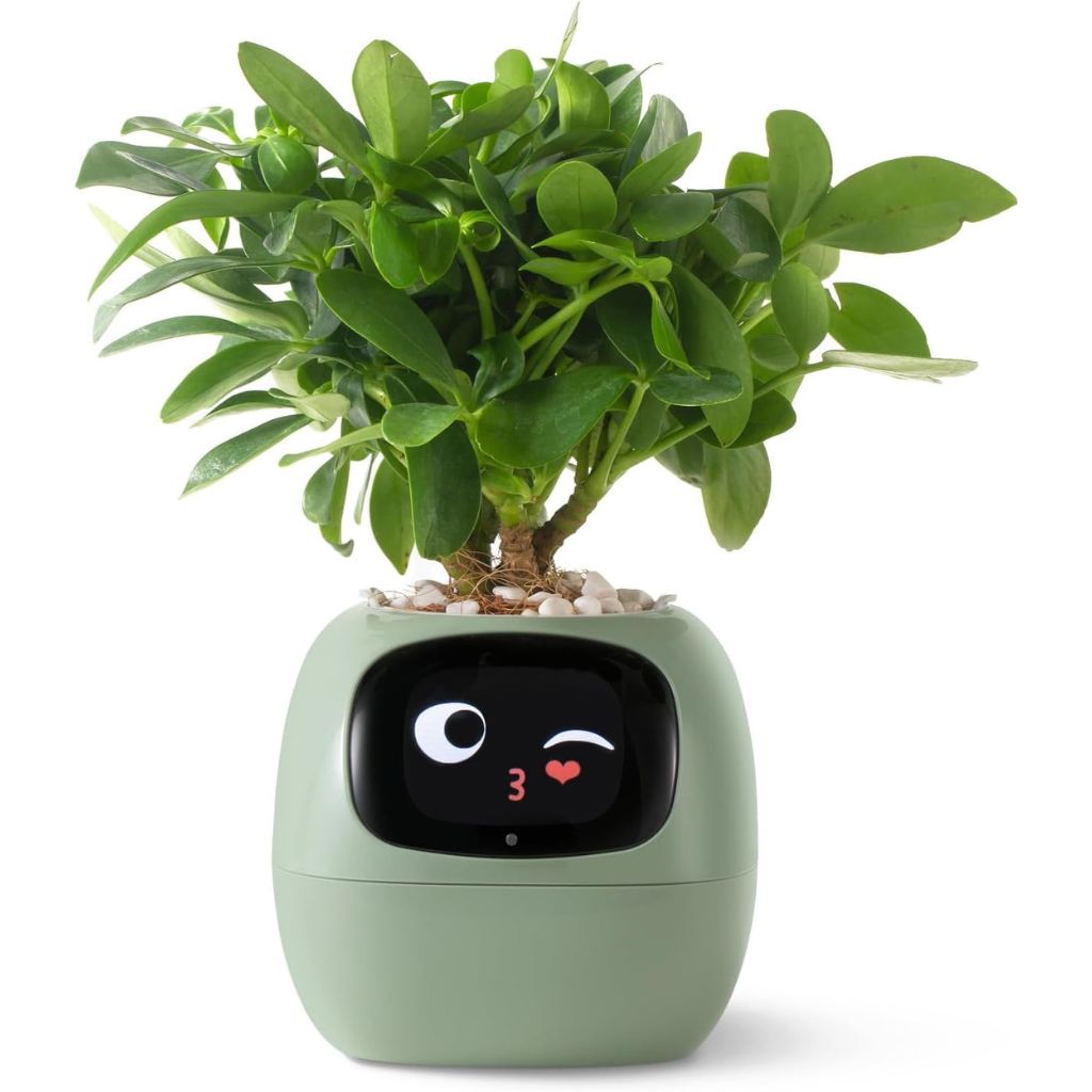 Slimme Plantpot Ivy - Innovatieve Plantverzorging